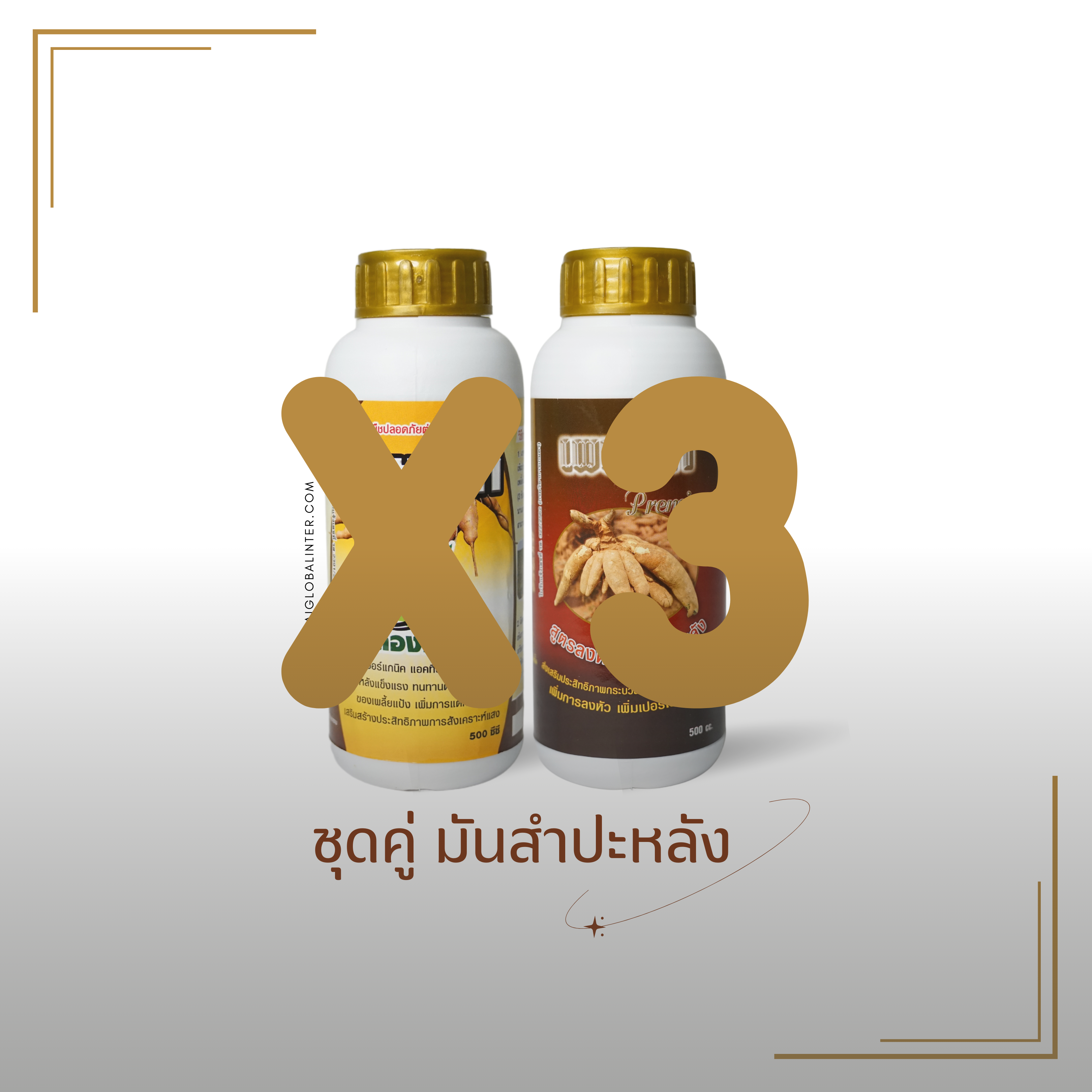 zo-th-1